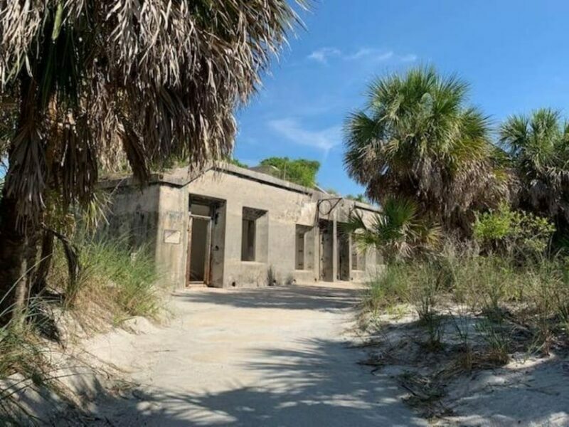 Madeira Beach: Egmont Key Snorkeling and Dolphin Cruise - Potential Drawbacks to Keep in Mind