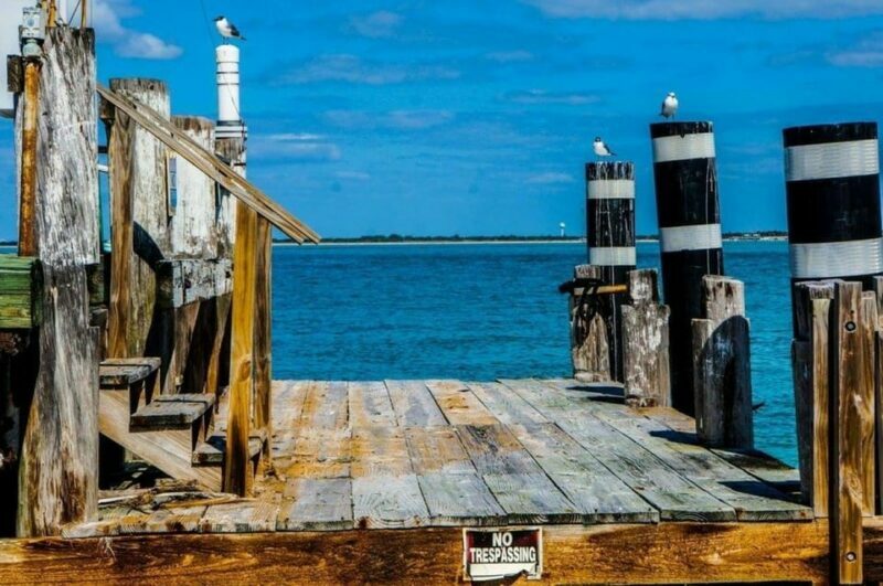 Madeira Beach: Egmont Key Snorkeling and Dolphin Cruise - Final Thoughts