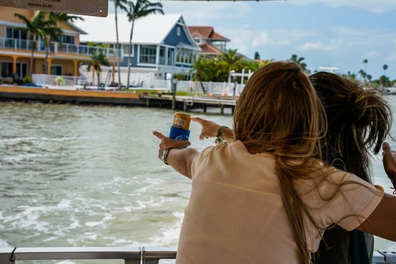 Madeira Beach: Guided Dolphin Watching Eco-Friendly Cruise - Customer Review Highlights