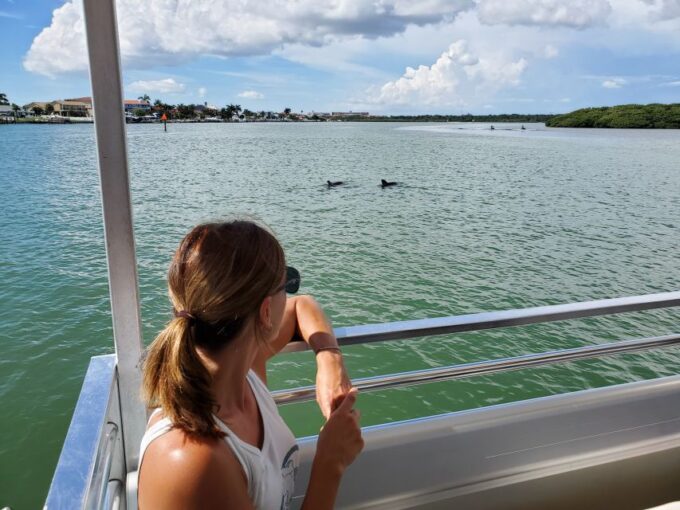 Madeira Beach: Guided Dolphin Watching Eco-Friendly Cruise - Onboard Amenities and Facilities