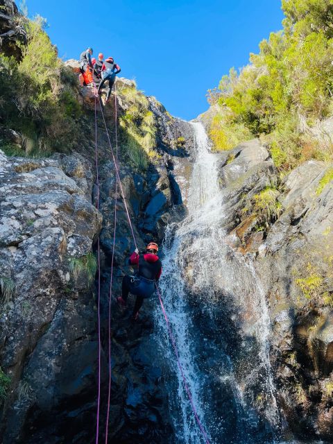 Madeira: Beginner (Level 1) Canyoning Experience - Key Points
