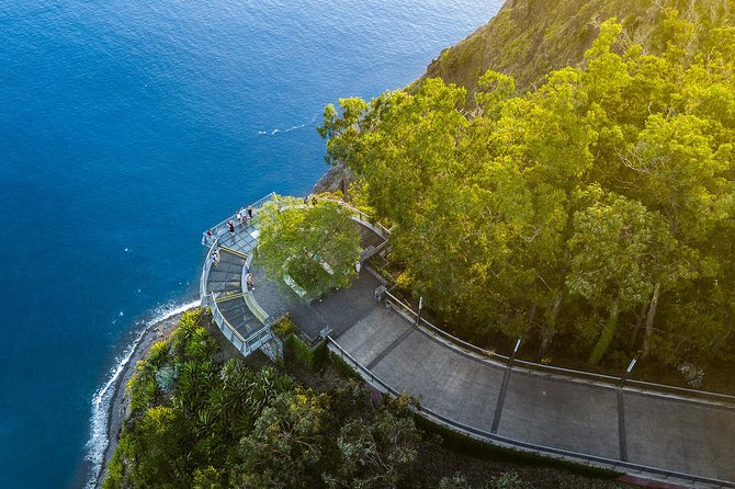 Madeira Best of the West Day Tour - Laurissilva Forest: UNESCO World Heritage