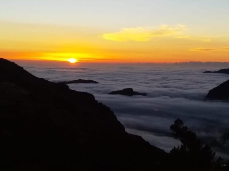 Madeira: Birdwatching - The Endemics - Itinerary and Locations