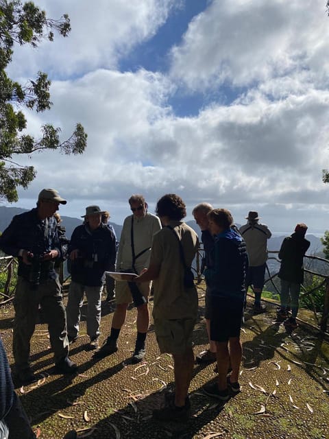 Madeira: Birdwatching - The Endemics - Frequently Asked Questions