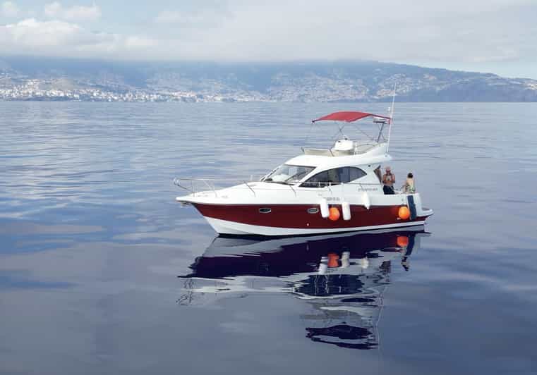 Madeira: Boat Trip - Key Points