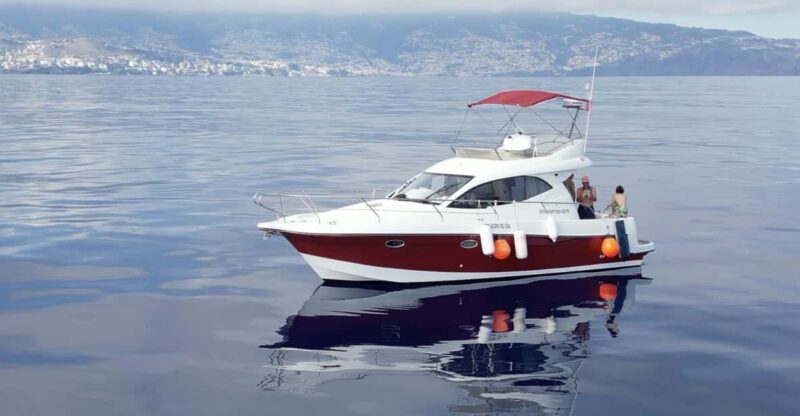 Madeira: Boat Trip - Itinerary and Activities