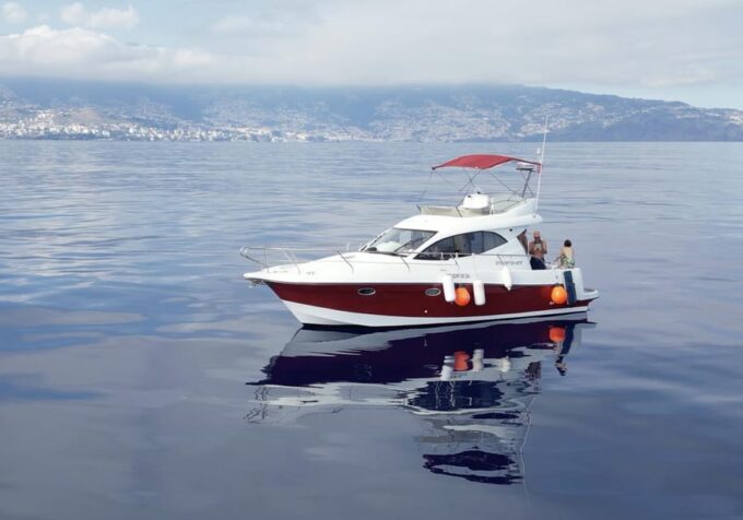 Madeira: Boat Trip - Snorkeling and Scenic Stops