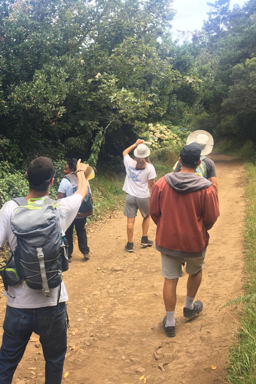 Madeira: Butterfly Watching - Booking Information