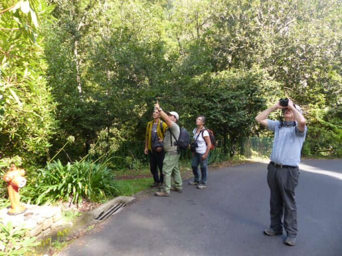 Madeira: Butterfly Watching - Sustainable Tourism
