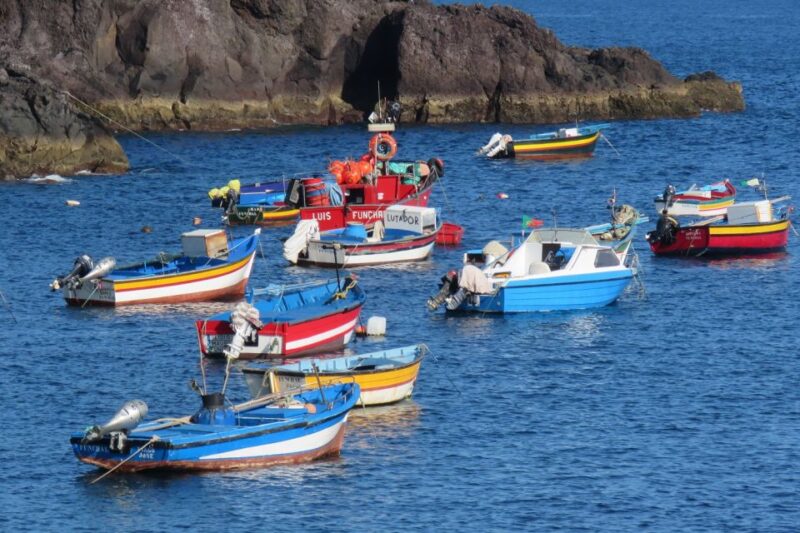 Madeira : Cabo Girao and Camara De Lobo 4WD Half-Day Tour - Pickup Information