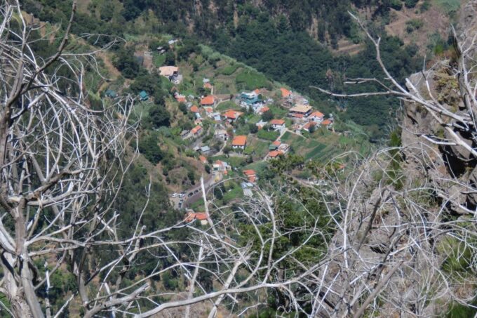 Madeira : Cabo Girao and Camara De Lobo 4WD Half-Day Tour - Customer Reviews