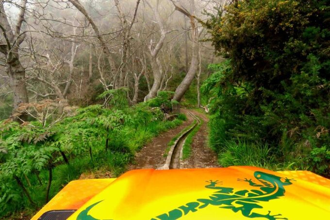 Madeira : Cabo Girao and Camara De Lobo 4WD Half-Day Tour - Frequently Asked Questions
