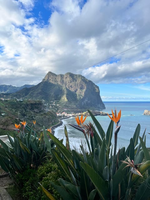 Madeira: Cliff Hanger Vereda Larano Hike Machico - Key Points