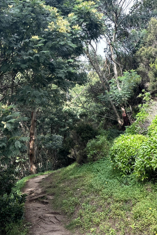 Madeira: Cliff Hanger Vereda Larano Hike Machico - Hike Itinerary