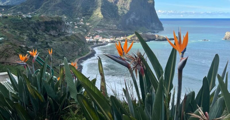 Madeira: Cliff Hanger Vereda Larano Hike Machico - Inclusions and Exclusions