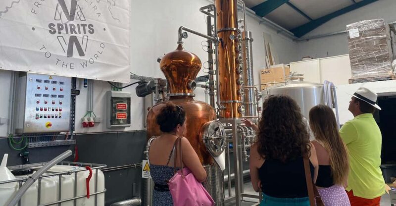 Madeira: Distilleries - Distillery Visits