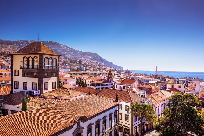 Madeira East Island Full Day Small-Group Tour From Funchal - Worth The Stay