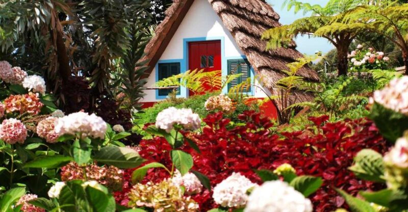 Madeira East Island Tour and Levada Walk - Key Points