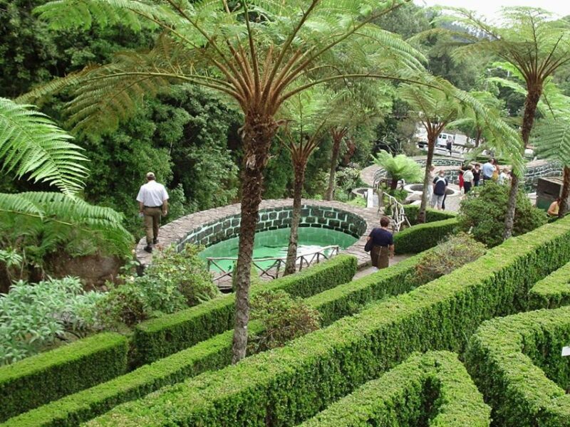 Madeira East Island Tour and Levada Walk - Itinerary Highlights