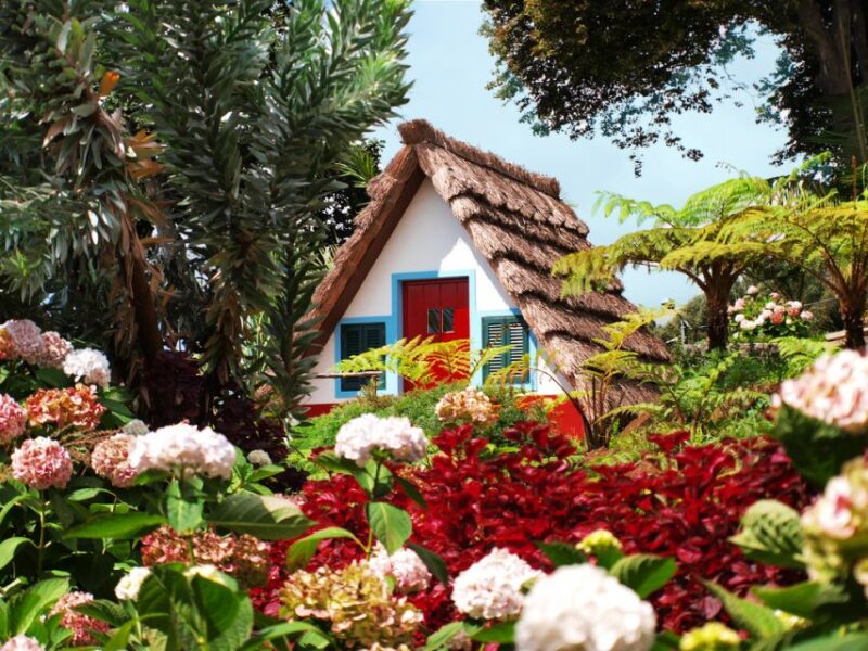 Madeira East Island Tour and Levada Walk - Tour Features