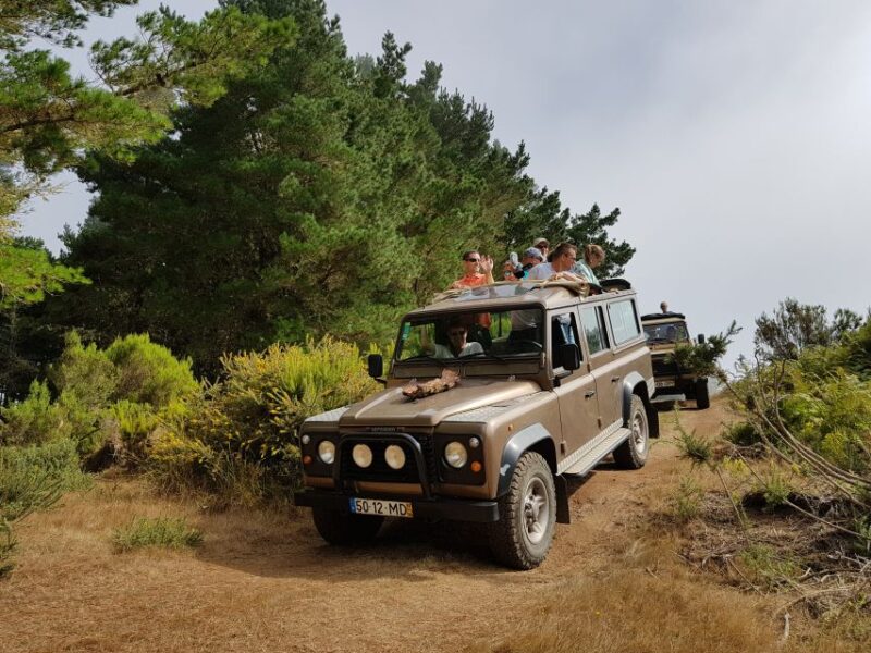 Madeira East or West Private Half-Day Tour by Open-Top Jeep - West Tour Highlights