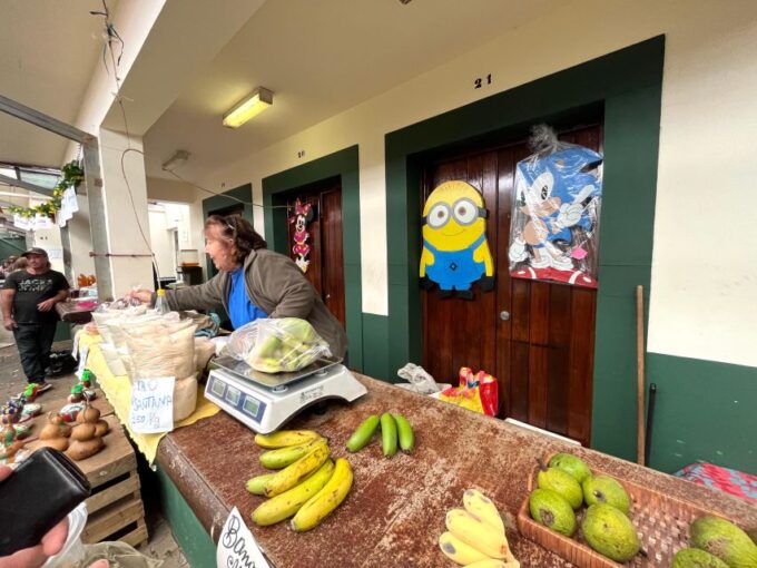 Madeira: East Santana, Sao Lourenço & Local Farmers Market - Exploring Madeiras East
