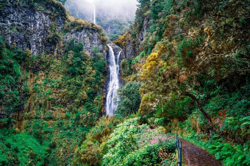 Madeira: Enjoy a Guided Levada Walk in the Rabaçal Valley - Experience Highlights