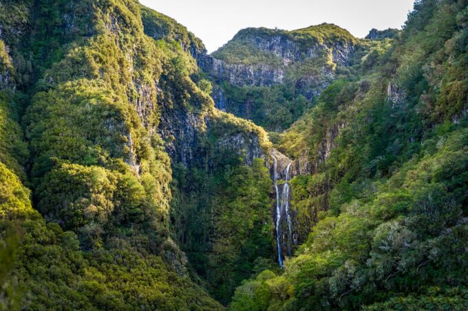 Madeira: Enjoy a Guided Levada Walk in the Rabaçal Valley - Booking and Pickup Details