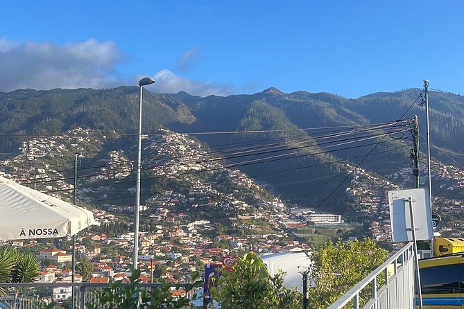 Madeira Essence Half Day Tour for Cruises - Important Notes
