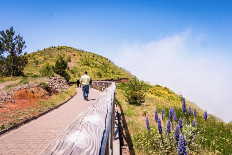 Madeira : Full Day Adult Only East 4x4 Tour - Key Points