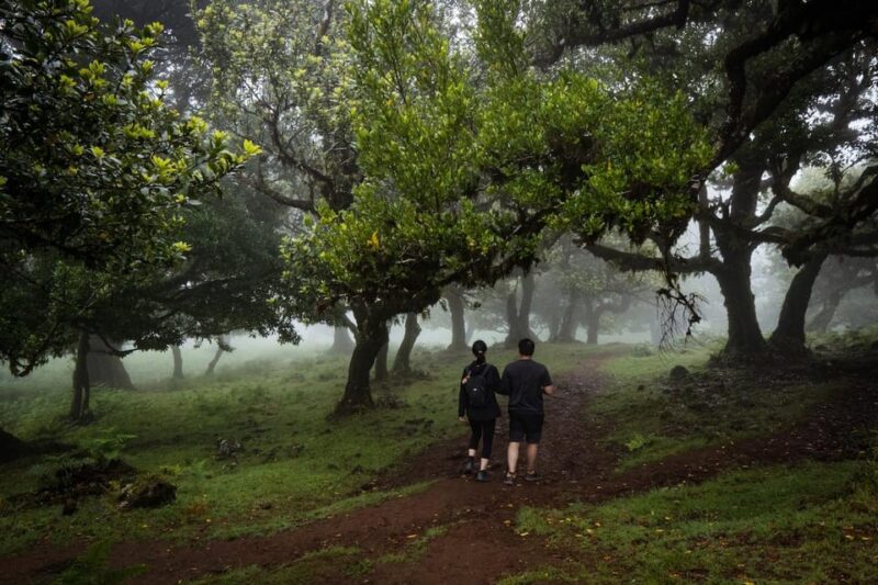Madeira : Full Day Adult-Only West 4x4 Tour - Experience Highlights