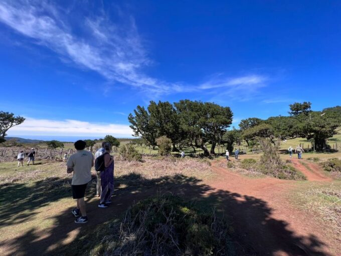 Madeira: Full-Day Jeep Tour With Guide and Pickup - Pickup and Drop-off Details
