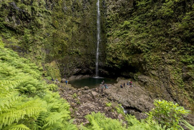 Madeira: Full-Day Laurel Forest Guided Walking Tour - Preparation and Requirements