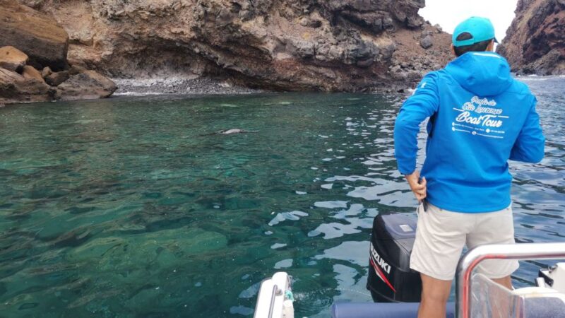 Madeira: Full-Day of Activities at Ponta De São Lourenço - Cancellation Policy