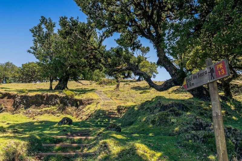Madeira: Full-Day Porto Moniz Jeep Tour - Inclusions and Experience