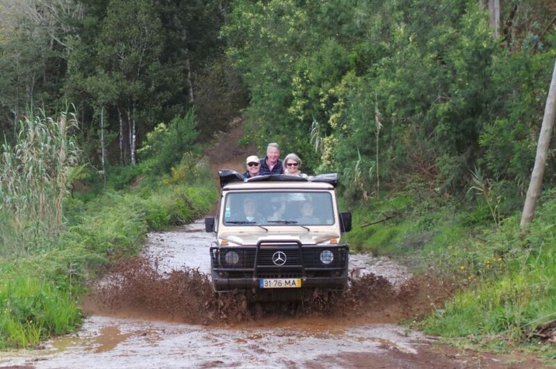Madeira: Full Day Private Jeep Tour East or West - Included Features