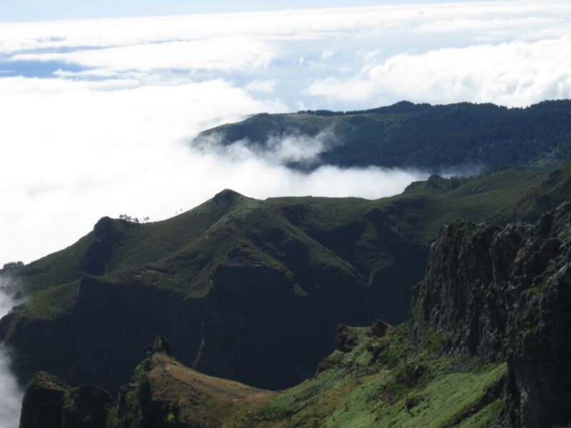 Madeira: Full-Day Teixeira Walk - Experience Highlights