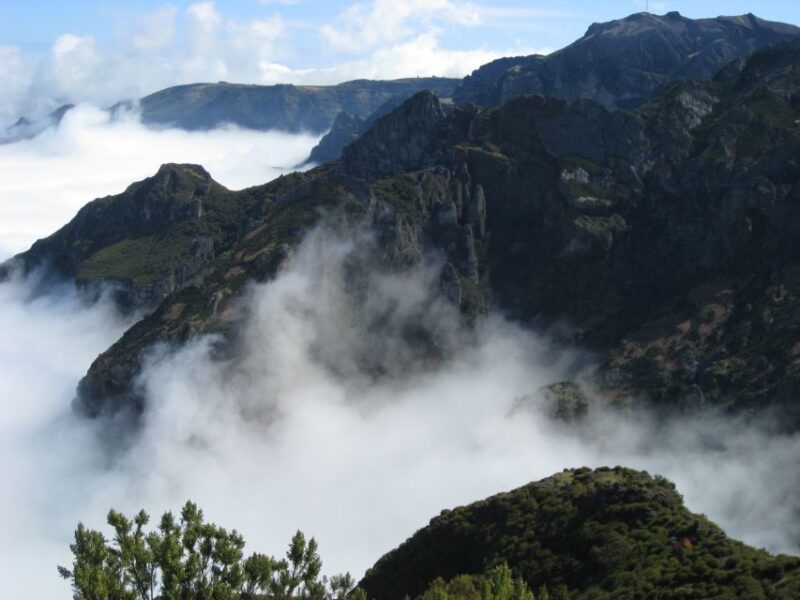 Madeira: Full-Day Teixeira Walk - Tour Logistics