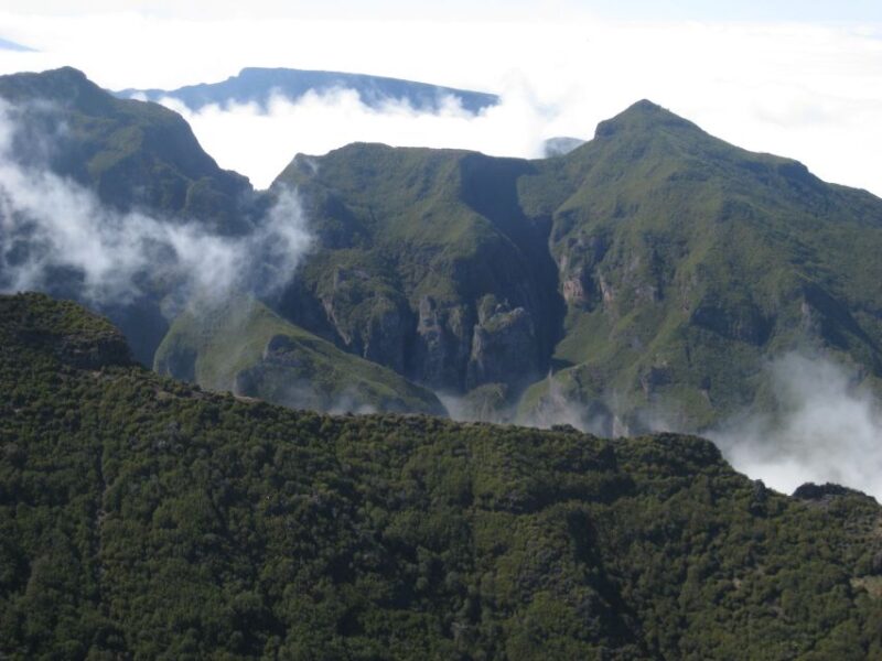 Madeira: Full-Day Teixeira Walk - Customer Reviews Summary