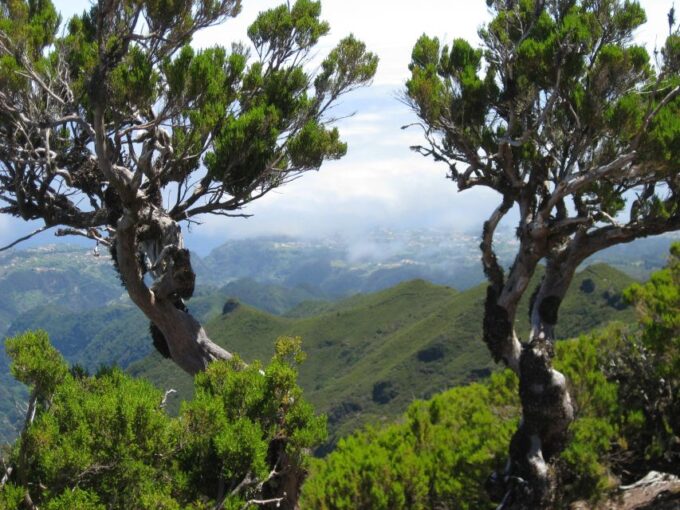 Madeira: Full-Day Teixeira Walk - Fitness and Mobility Considerations