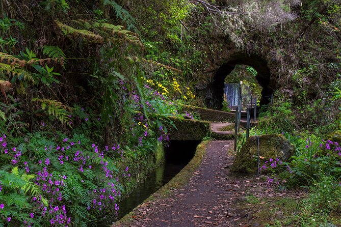 Madeira Full-Day Wonder and Nature Tour in A 4x4 - Breathtaking Viewpoints and Landscapes