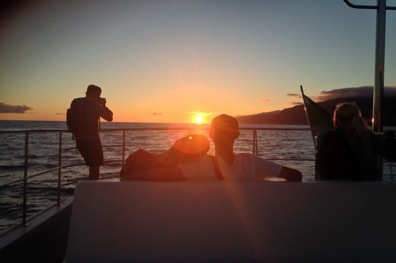 Madeira: Funchal Sunset Tour by Catamaran - Key Points