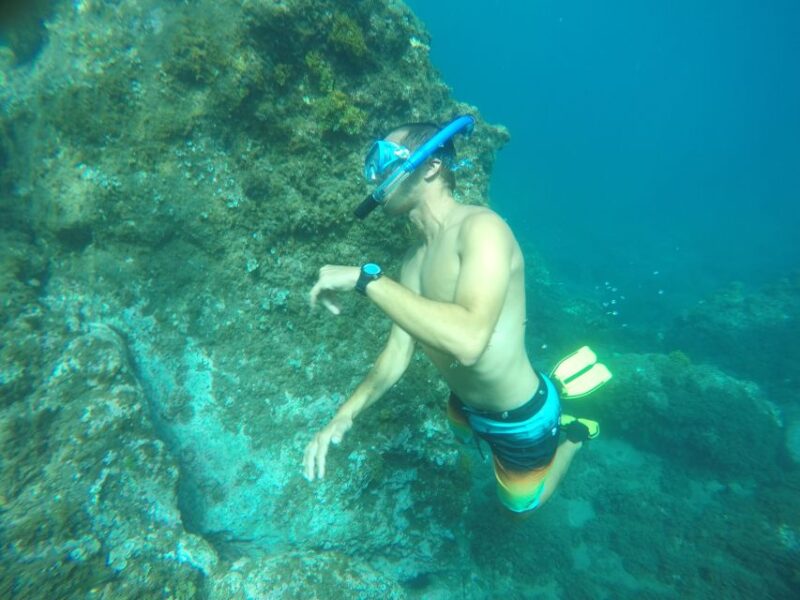 Madeira: Garajau Nature Reserve Kayak and Snorkel Tour - Exploration Highlights