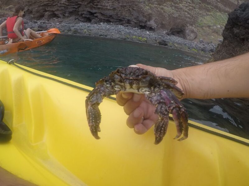 Madeira: Garajau Nature Reserve Kayak and Snorkel Tour - Included Amenities