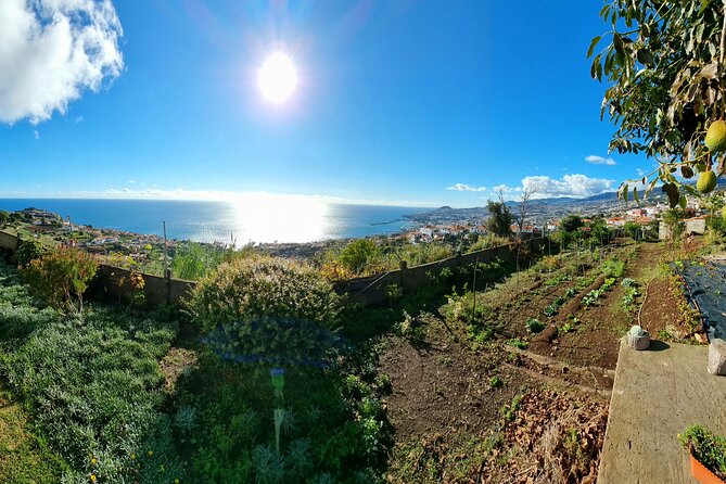 Madeira Genuine Food Experience at Re-Canto - Accessibility and Transportation