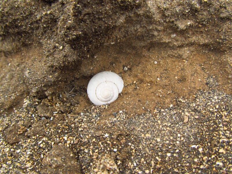 Madeira: Geology The Origins Tour - Key Points