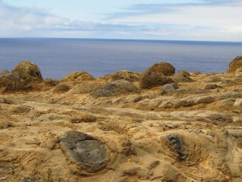 Madeira: Geology The Origins Tour - Tour Restrictions