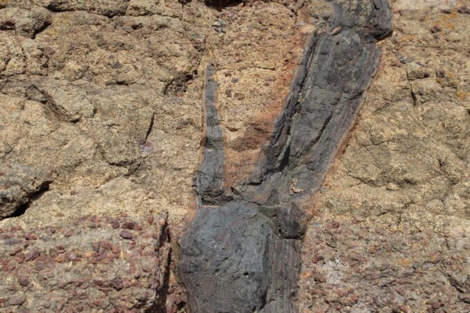 Madeira: Geology The Origins Tour - Booking and Cancellation