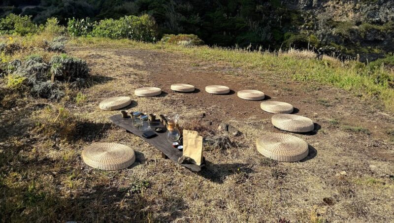 Madeira: Group and Private Tea Drinking Experiences - Storytelling Behind Every Tea Leaf