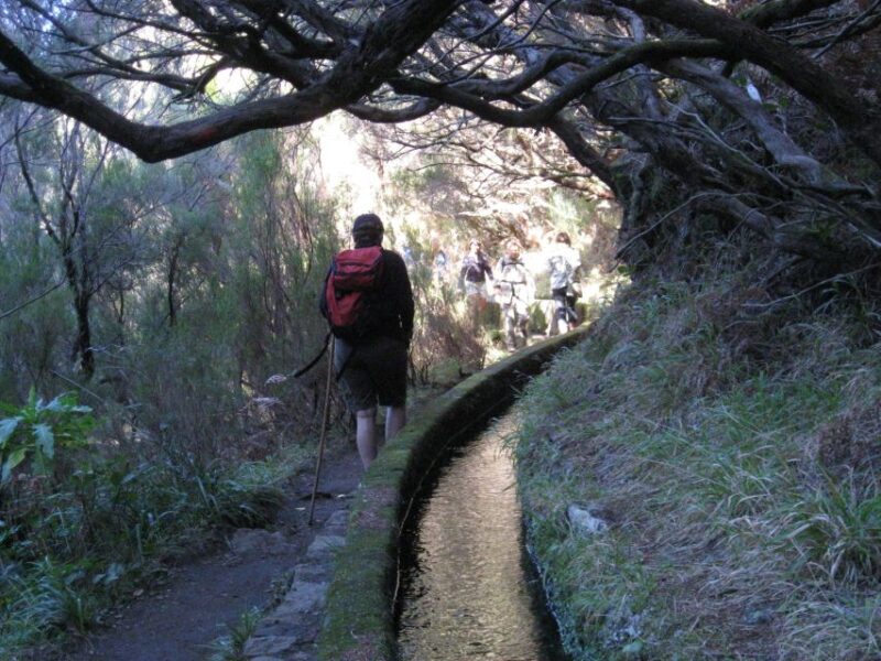 Madeira: Guided Full-Day Rabaçal Walk - Experience Highlights